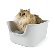 Cat High Side Litter Tray
