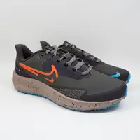 在飛比找蝦皮商城優惠-NIKE AIR ZOOM PEGASUS 39 SHIEL