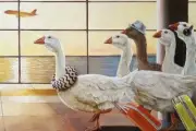 First Class Migration by L. Heffernan Comical Geese at Airport Art Print 11x14