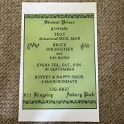 Bruce Springsteen Ashburg park Poster 11 x 17 (219)