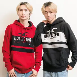 【HOLLISTER Co】海鷗 男版 設計款 帽T 長袖 連帽 穿搭 現貨 美國(平輸品)