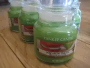 Yankee Candle Macaron Treats European Tan Label Small Jar 3.7 oz. Hard to Find!