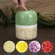 Electric 250ML +100ML Garlic Press Chopper Chili Onion Meat Mincer Blender Mixer