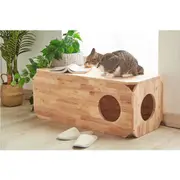 Kitten Bench