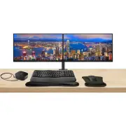 HP EliteDisplay E24q G5 24-inch QHD 2560 x 1440 LED LCD IPS Monitor, 2-Pack