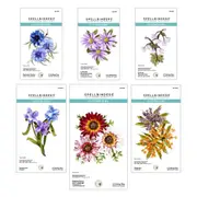 Spellbinders Through the Meadow Die Bundle by Susan Tierney-Cockburn