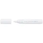 Pilot Pintor Paint Marker 1.4mm White
