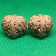 2024 New Fruit China Wenwan Hand-made Walnut 24年新摘的文玩核桃 平谷元宝 边32肚38高33 #M-290