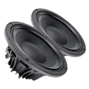 Pair Faital PRO 10PR300 10" Woofer Midrange Speaker 4 ohms 600W 98dB 2.5" VC