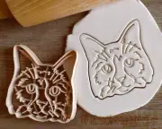 House Cat Long Fur Normal Popular Face Whisker Whiskers Cookie Cookie Cutter