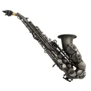 Pro Eastern Music Matt black plated curved soprano saxophone with engravings