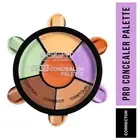 Insight Cosmetics Pro Concealer Palette - Corrector (15gm)