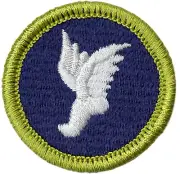 Boy Scout Current Design Merit Badge Athletics