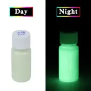 Luminous Paint Glow in the Dark Shining for Home Party Decor Fluorescent Paint