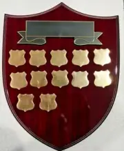 Perpetual Shield Trophy Plaque 265mm Timber (inc 17 Shields) Engraved FREE