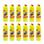 12x Domestos Extra Power Thick Bleach Kitchen/Bath Cleaner 500ml Citrus Fresh