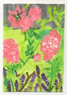 Original signed ACEO by Lucy Smith. 'Overgrown garden' still life nature, plants