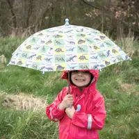 在飛比找HOTAI購優惠-【Rex LONDON】兒童雨傘(恐龍) | 遮陽傘 晴雨傘