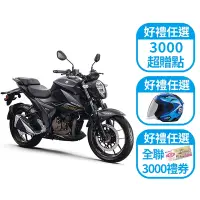 在飛比找Yahoo奇摩購物中心優惠-SUZUKI 台鈴機車 GIXXER ER 250街車版(油