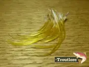 FLY TYING FEATHERS - GOLDEN PHEASANT CREST FEATHERS - BAG OF 20 - NEW