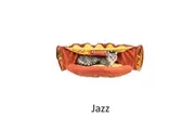 Cat Bed with Tunnel Large Foldable Soft Cushion Bedding Jazz Washable 2-in-1 Cat Bed