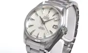 Omega Seamaster Co-Axial Aqua Terra Chronometer 231.10.39.21.55.001