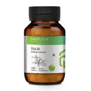 Tulsi Tablets (Basil) Ocimum sanctum, 500mg x 120 Tablets By Merlion Naturals