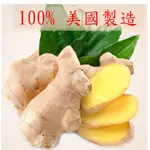 【鮮採薑 FRESH GINGER】 美國NATURE'S GARDEN原裝進口 泡澡球DIY香氛油