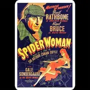 Sherlock Holmes Tin Metal Sign 8x12 Spider Woman Basil Rathbone Movie Poster Art