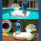 Lazy dayz Swim Pool Beach Inflatable Peacock Ride-On-Float Beach Fun Toy Lounge