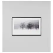 Forest Snow Print