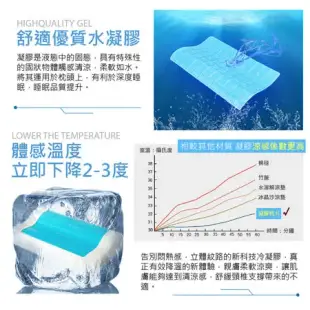 【買1送1】3D記憶清涼感【實測降溫6度】太空涼感凝膠枕頭(記憶枕/太空枕/冷凝枕/冰涼枕墊)