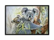 Koala Cute Baby Framed Print Fine Art Poster Print