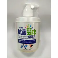 在飛比找蝦皮購物優惠-白雪 抗菌去味 洗手乳 250ml 1000ml