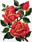 "Roses" Printed Needlepoint Tapestry Kit 3186K