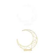 Wedding Arch Backdrop Stand Heavy Duty Large Flower Stand Balloon Arch Stand