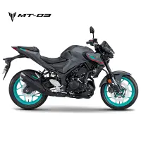 在飛比找Yahoo奇摩購物中心優惠-YAMAHA 2023式樣 MT03 ABS 黃牌檔車重機