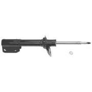 Rear Strut Assembly For Chevy Lumina & Monte