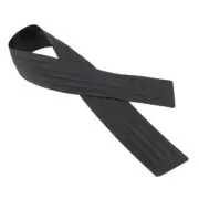 Non-Slip Car Rear Bumper Scratch Strip Protector Cover Sports Rubber Trim Guard