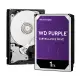 WD Purple 1TB 紫標監控專用硬碟 紫標硬碟 紫標1TB