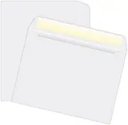 Quality Park Large Format/Catalog Envelopes, Gummed, White, 6 x 9, 500 per Box, (QUA37181)