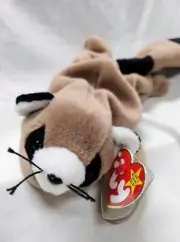 Ringo the Raccoon TY Beanie Baby with Tag 1995, Retired