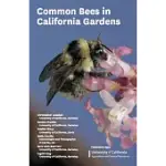 COMMON BEES IN CALIFORNIA GARDENS