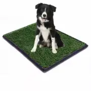 Replacement Grass Pet Synthetic Turf for Dog Potty Trays - Fits Trays 20" x 30"