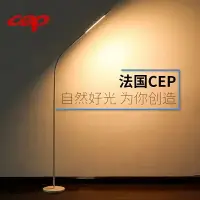 在飛比找樂天市場購物網優惠-CEP法國全金屬北歐落地燈立燈學習燈led閲讀護眼枱燈卧室牀