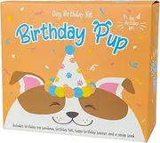 Gift Republic Birthday Pup - Dog Birthday Kit - Puppy Birthday Banner, Bandana, Hat + Dog Treat Recipe Booklet