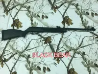 在飛比找Yahoo!奇摩拍賣優惠-(傑國模型) GAMO BLACK BEAR 5.5mm折槍