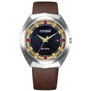 Citizen Watch CREATIVE LAB Limited Eco Drive 365 Waterproof BN1010-05E Men Brown