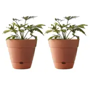 2x Northcote Pottery Leonard 25x23cm Self Watering Plant Pot Garden Decor Brick