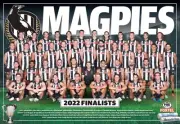 LAMINATED COLLINGWOOD MAGPIES TEAM POSTER,BARGAIN,AFL FOOTBALL,GREAT FEEDBACKS